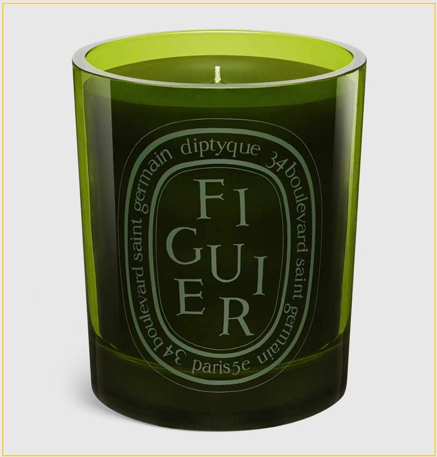 DIPTYQUE SCENTED CANDLE FIGUIER FIG TREE 300G 綠色無花果香氛蠟燭